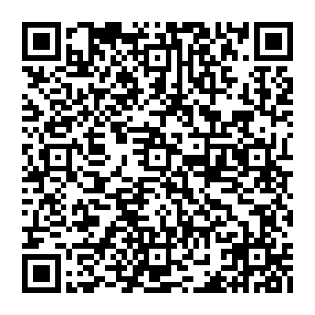 vCard 79232533696