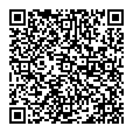 vCard 79232533697
