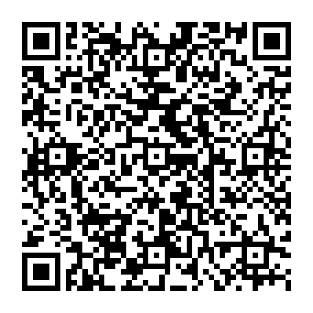 vCard 79232533713