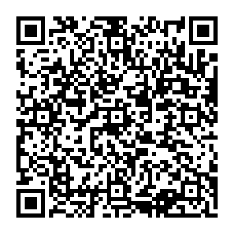 vCard 79232533763
