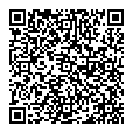 vCard 79232533767