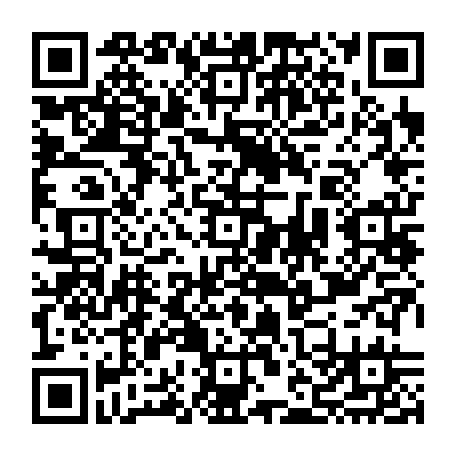 vCard 79232533782