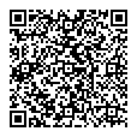 vCard 79232533847