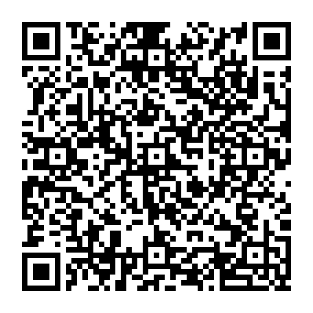 vCard 79232533873