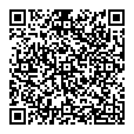 vCard 79232533877