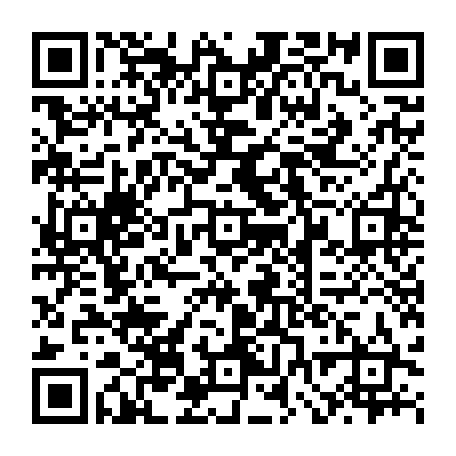 vCard 79232533885