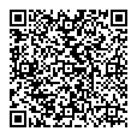 vCard 79232533903