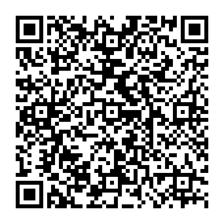 vCard 79232533979