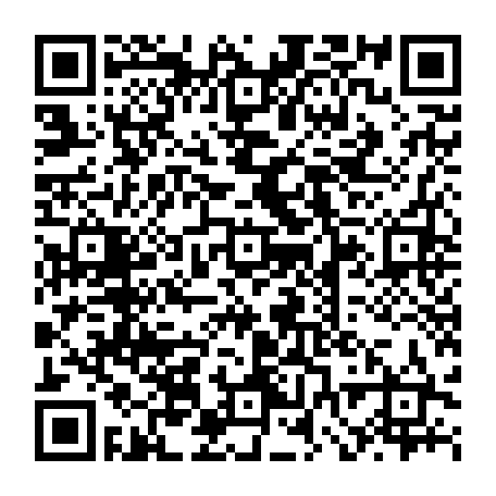 vCard 79232534002