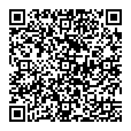 vCard 79232534073