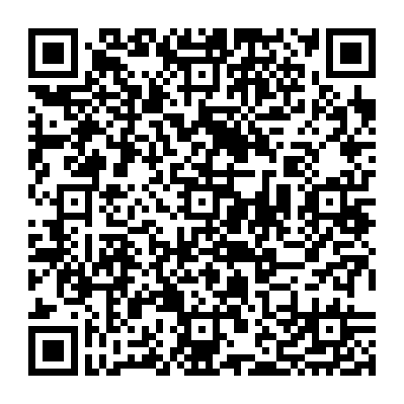 vCard 79232534713