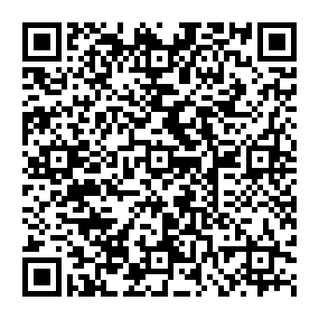 vCard 79232535733