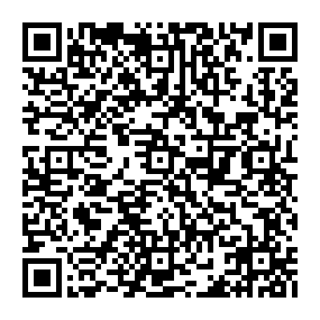 vCard 79232536002