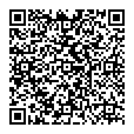 vCard 79232536047