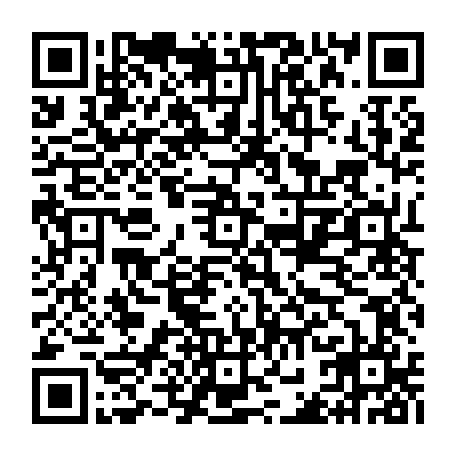 vCard 79232536317