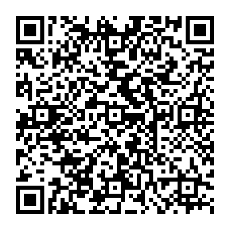 vCard 79232538003