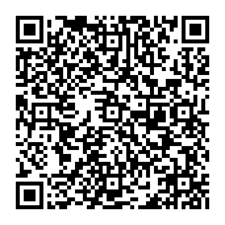 vCard 79232538163
