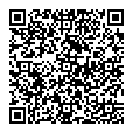 vCard 79232538339