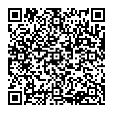 vCard 79232538385