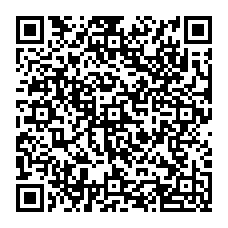 vCard 79232538714