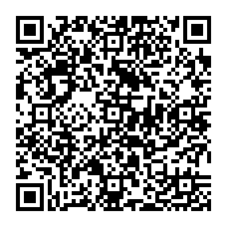 vCard 79232538726