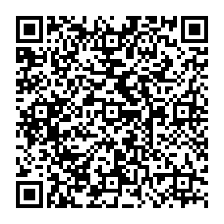 vCard 79232538911