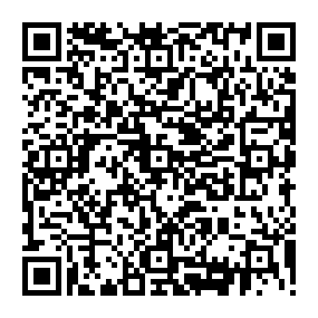vCard 79232539017