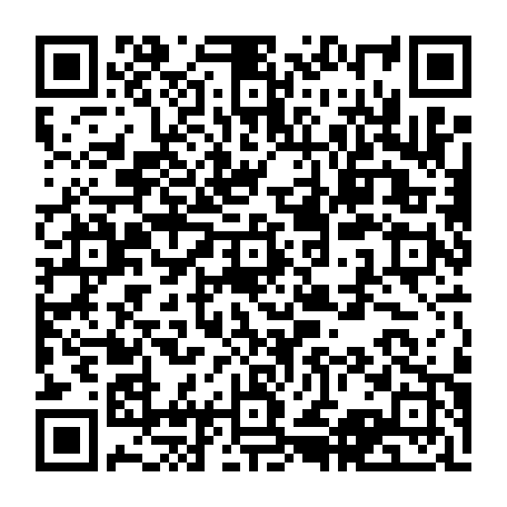 vCard 79232539333