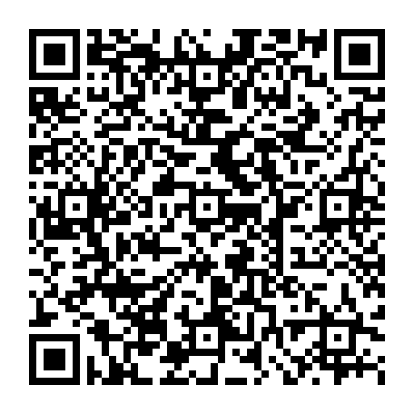 vCard 79232539460