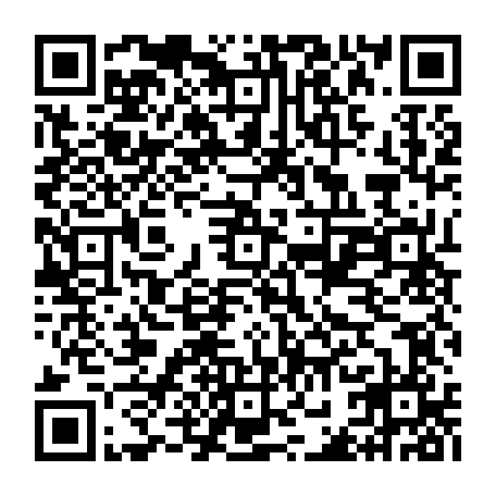 vCard 79232539517