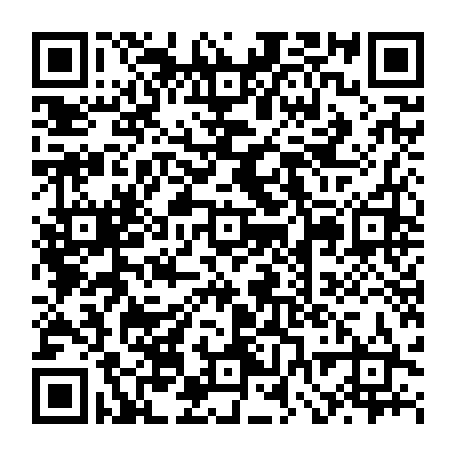 vCard 79232539709