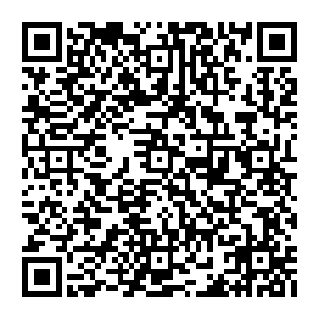 vCard 79232540011