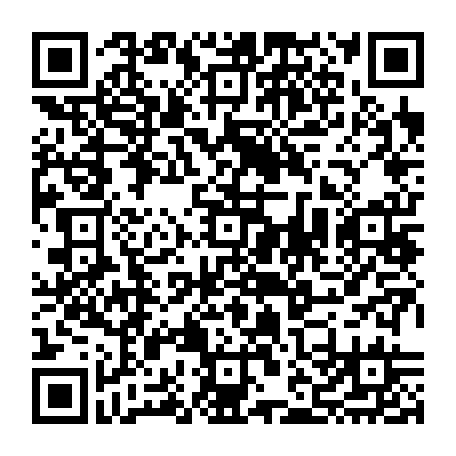 vCard 79232540315
