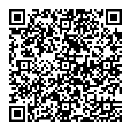 vCard 79232540417