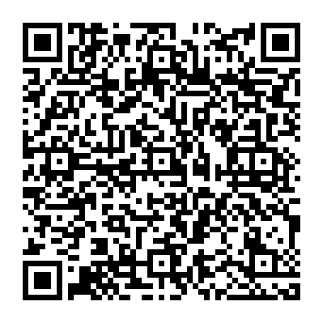 vCard 79232541001