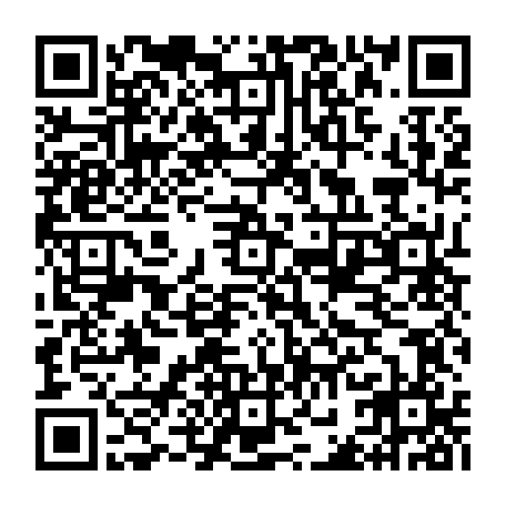 vCard 79232541117