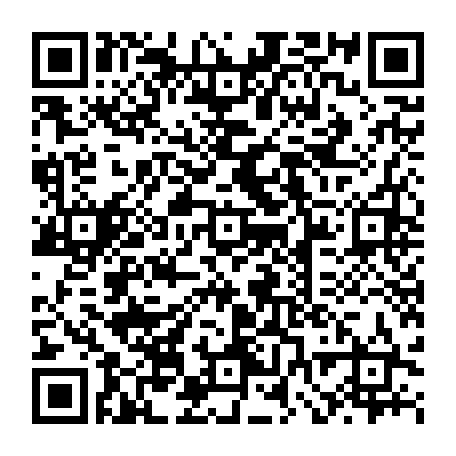 vCard 79232541133