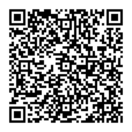 vCard 79232541274