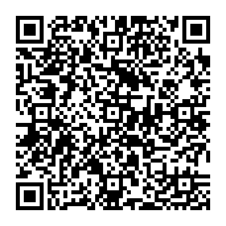 vCard 79232553385