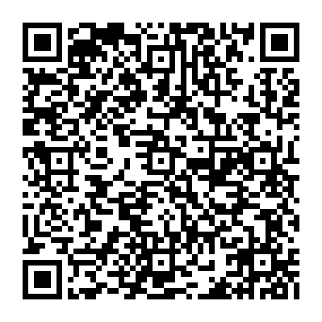 vCard 79232553387