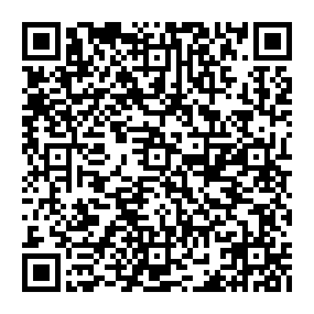 vCard 79232554729