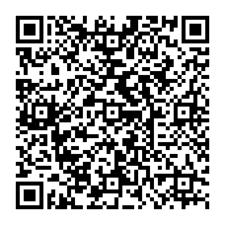vCard 79232560353