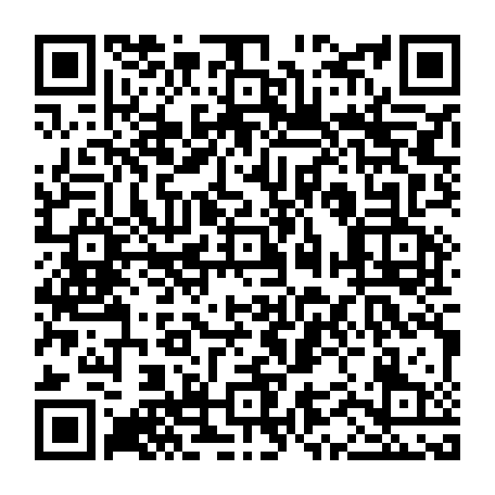vCard 79232560383
