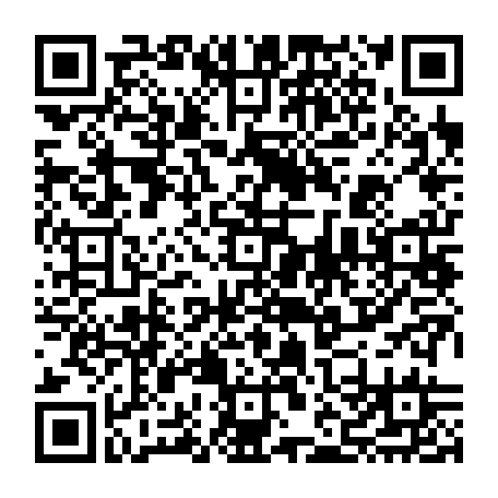 vCard 79232563403