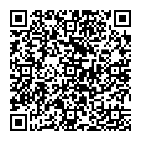 vCard 79232564066