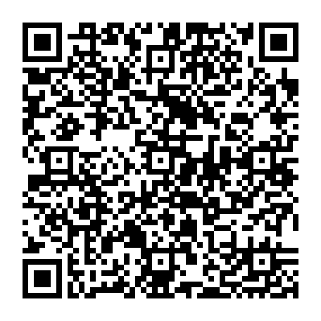 vCard 79232566387
