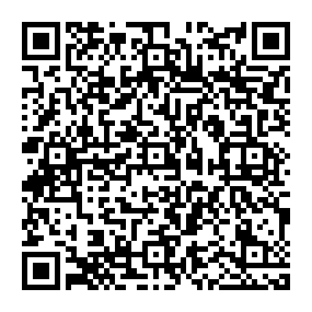 vCard 79232573383