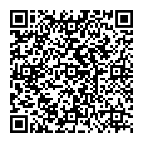 vCard 79232573463