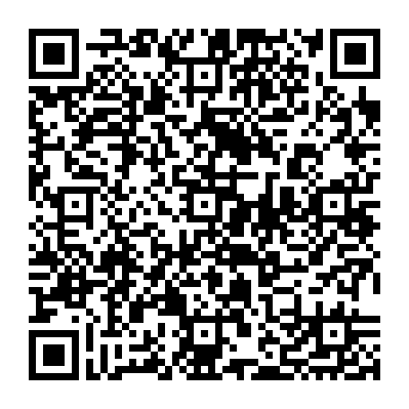 vCard 79232573547