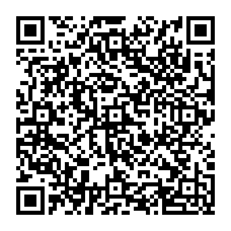 vCard 79232574132